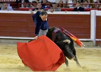 Festival taurino de la Feria de Cali