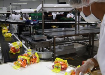 México produce 370 alimentos orgánicos en 2025