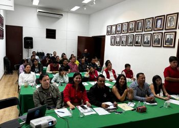 Salud mental, necesaria para la política