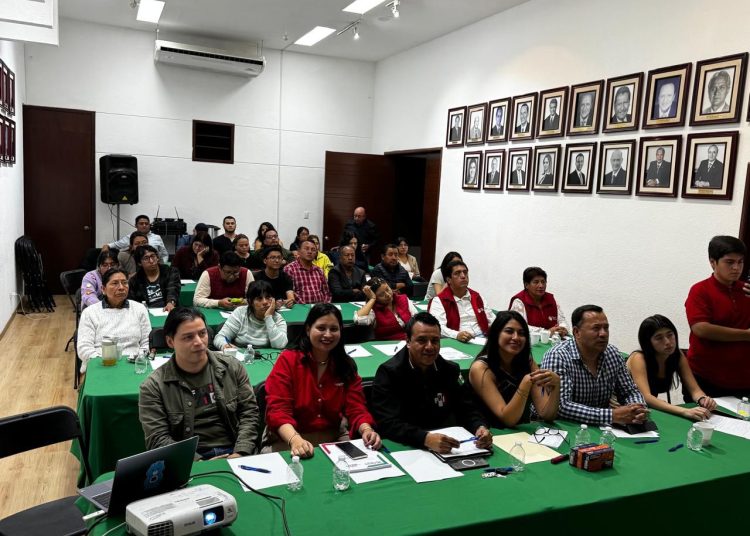 Salud mental, necesaria para la política