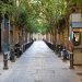 Barcelona el balance entre la historia y la modernidad