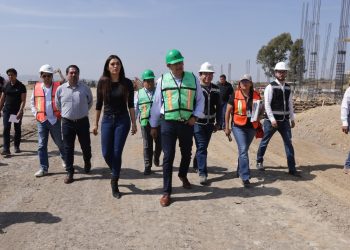 Consolida Bienestar Animal células y protección de seres sintientes