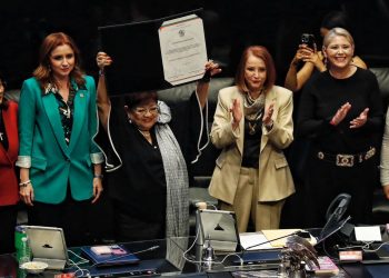 Divide opiniones en redes Ernestina Godoy