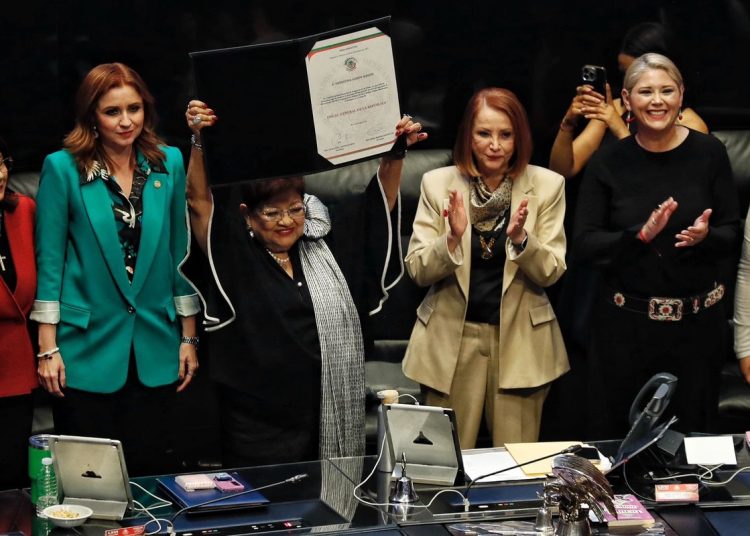 Divide opiniones en redes Ernestina Godoy