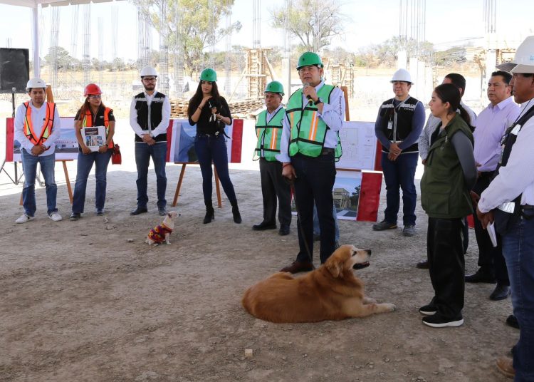 Avanza construcción del Centro de Bienestar Animal