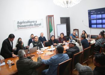 Pactan acciones de apoyo a sorgueros de la Mixteca