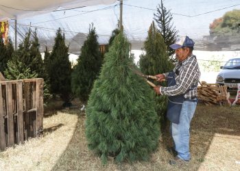 En época decembrina incrementa 20% los conatos de incendios: Ricardo Borau