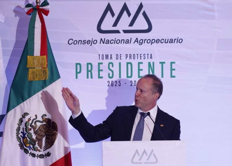 Agroindustriales mexicanos proponen nuevo sistema para granos y piden «no cerrar» diálogo