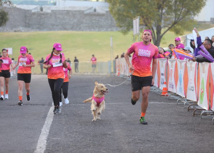 Carrera Bachoco se convierte en impulso solidario para Casas de Asistencia del SEDIF