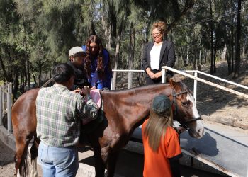 Tere Alfaro fortalece desarrollo de la niñez a través de sesiones de Equinoterapia
