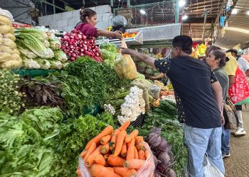 Carestía golpea más a canasta de consumo mínimo