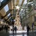 Estas son algunas de las actividades que puedes hacer del 19 al 21 de diciembre