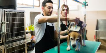 La economía de las mascotas: oportunidades para emprender