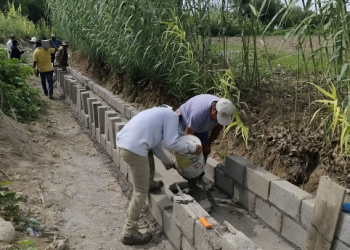 Obra Comunitaria contribuye a mejorar cultivos en Altepexi
