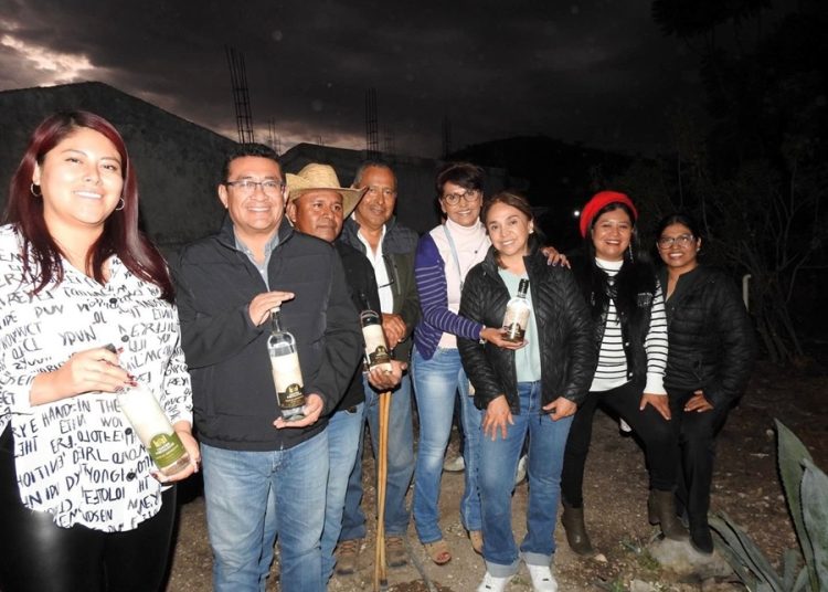 Pável Gaspar destaca importancia del mezcal en cultura y economía local