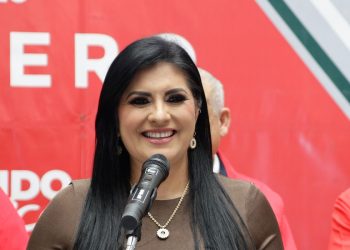 ‘Buscaré la dirigencia del PRI’: Delfina Pozos