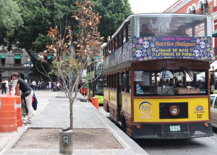En 2026 ampliarán el recorrido de turibuses hacia zona metropolitana: Jaime Oropeza
