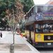 En 2026 ampliarán el recorrido de turibuses hacia zona metropolitana: Jaime Oropeza