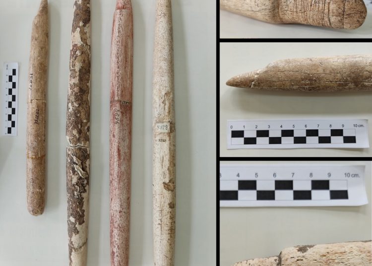 Caza de ballenas empezó en Sudamérica hace 5.000 años