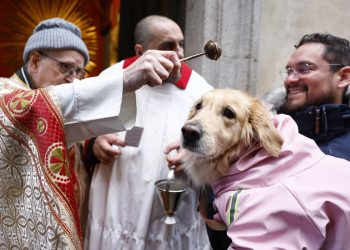 Otra cara del día de San Antón: abandono de mascotas