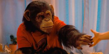 Primate