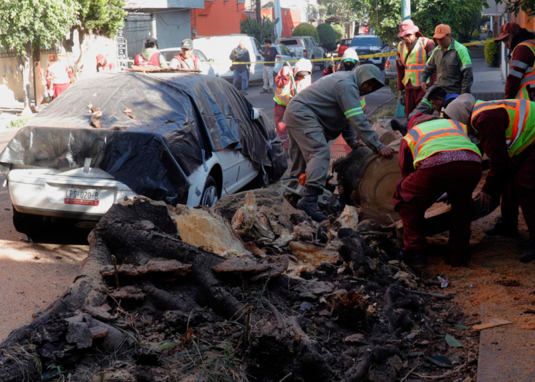 Suben a 24 los municipios afectados en Guerrero por el sismo de magnitud 6.5