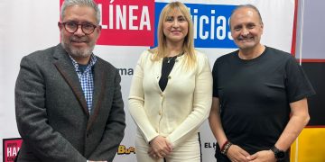 Cayeron delitos en 2025