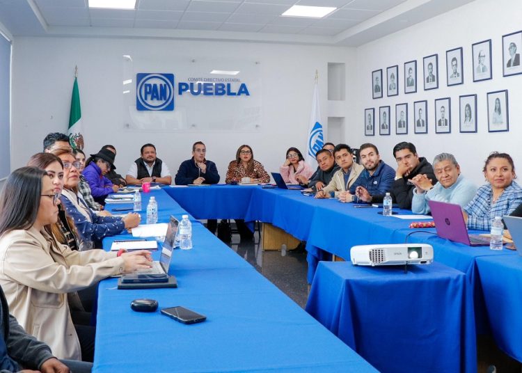PAN elegirá candidatos 2027 con encuestas