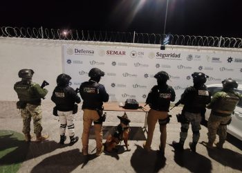 Elementos de la Unidad Canina K9 detienen a un hombre en posesión de enervante