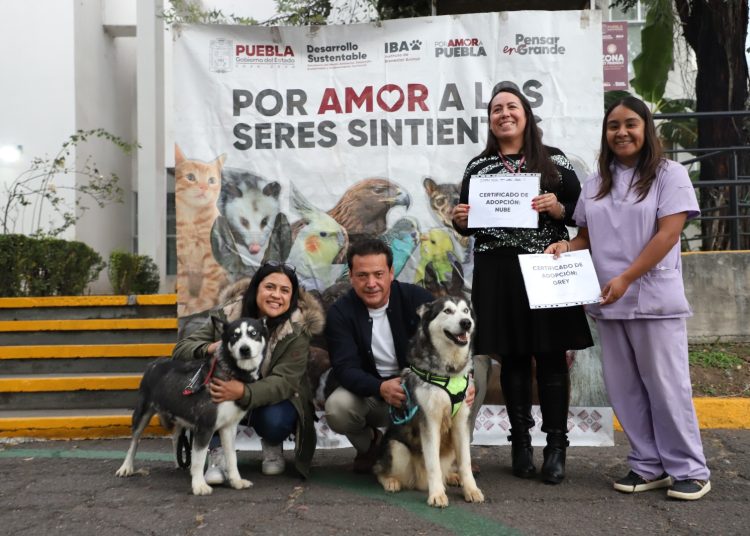 Gobierno del Estado impulsa campaña ‘Adopta, No Compres’