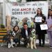 Gobierno del Estado impulsa campaña ‘Adopta, No Compres’