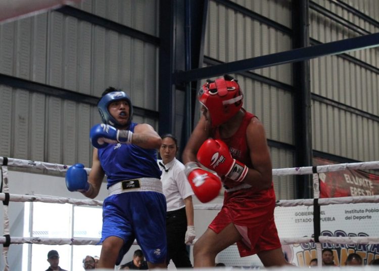 Apoba alista selección de boxeo rumbo a Olimpiada Nacional 2026