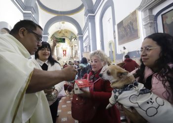 Bendicen mascotas entre polémica por prohibición de venta de animales