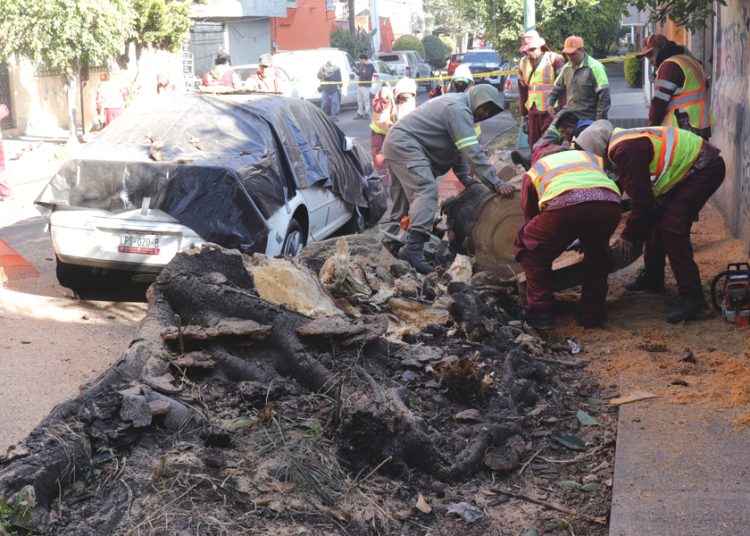 Sismo deja una víctima en CDMX durante evacuación