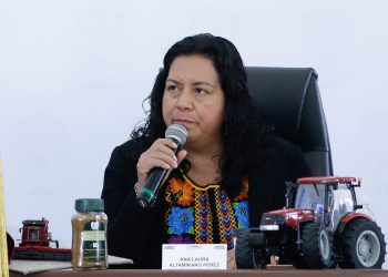 Suman más de 53 mil hectáreas agrícolas a la producción