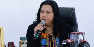 Suman más de 53 mil hectáreas agrícolas a la producción