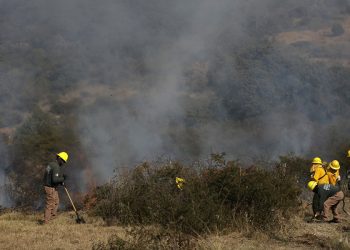 Bajan 68% daños a bosques por incendios en Puebla