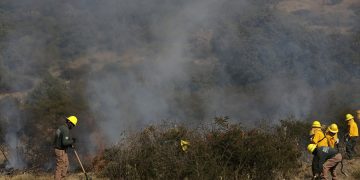 Bajan 68% daños a bosques por incendios en Puebla