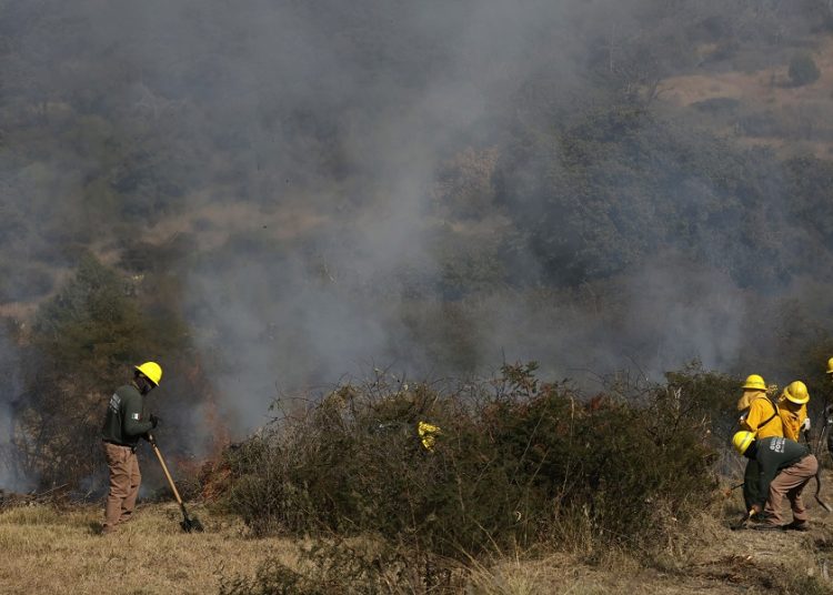 Bajan 68% daños a bosques por incendios en Puebla