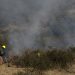 Bajan 68% daños a bosques por incendios en Puebla