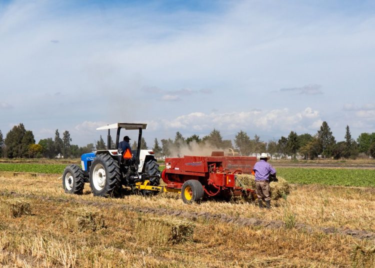 Puebla impulsa la productividad del campo