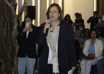 Reforma Electoral es un grave retroceso para la democracia: Zavala