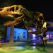 Museo de la Evolución resguarda la colección científica más importantes del estado