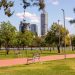 Refuerzan videovigilancia en parques estatales