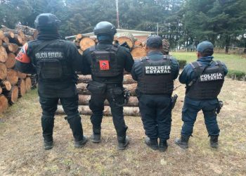 Con Operativo Interestatal Puebla–Tlaxcala, se aseguran 70 troncos de madera