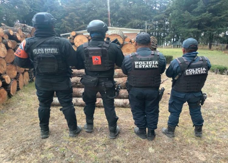 Con Operativo Interestatal Puebla–Tlaxcala, se aseguran 70 troncos de madera