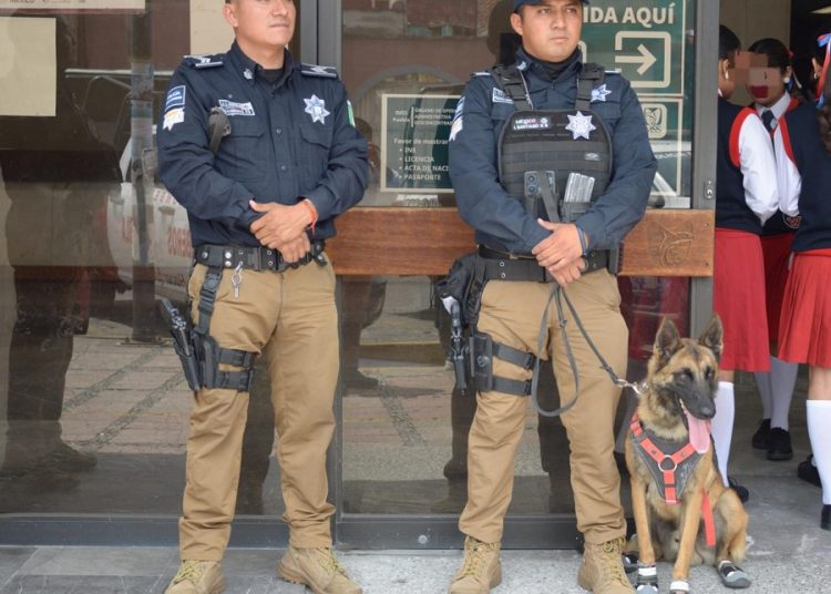 Unidad Canina de la SSC logra intervenciones exitosas