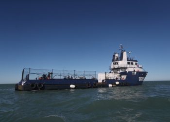 México impulsa «conservación efectiva» de la vaquita marina