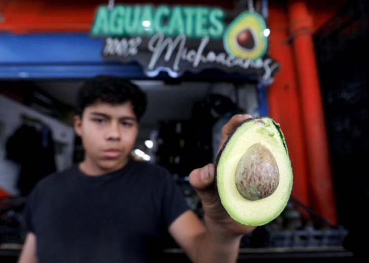 Aguacate mexicano brilla en el Super Bowl