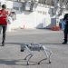 Perros robot reforzarán seguridad en Mundial en el norte
